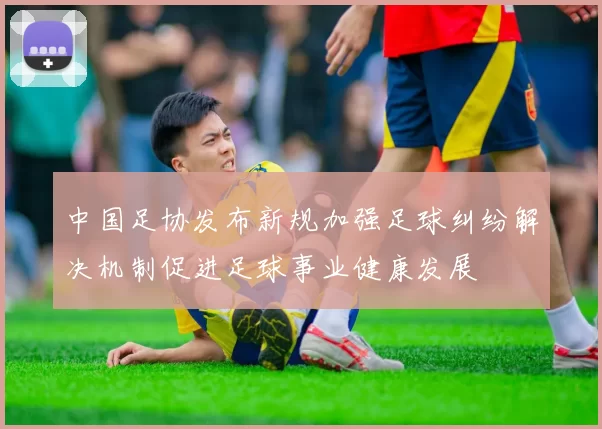 中国足协发布新规加强足球纠纷解决机制促进足球事业健康发展