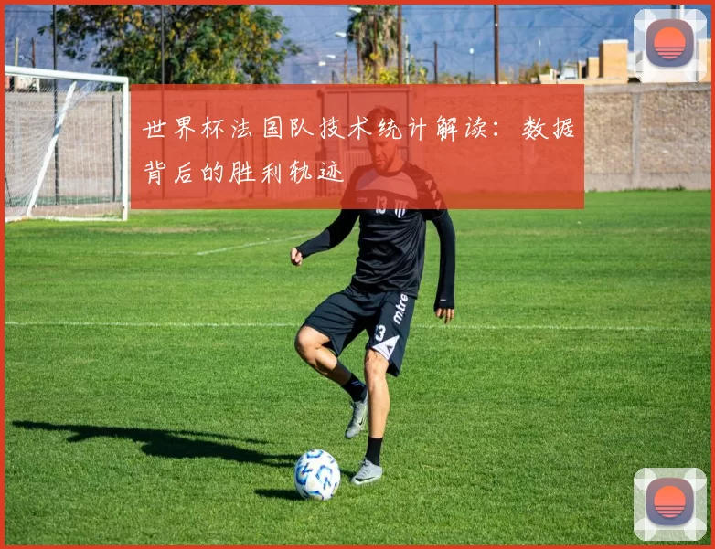 世界杯法国队技术统计解读:数据背后的胜利轨迹