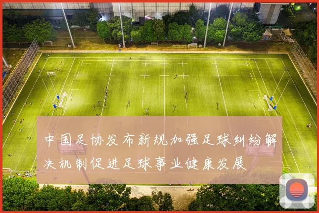 中国足协发布新规加强足球纠纷解决机制促进足球事业健康发展