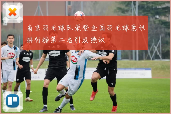 南京羽毛球队荣登全国羽毛球意识排行榜第二名引发热议