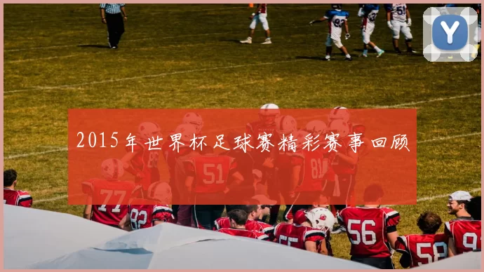 2015年世界杯足球赛精彩赛事回顾