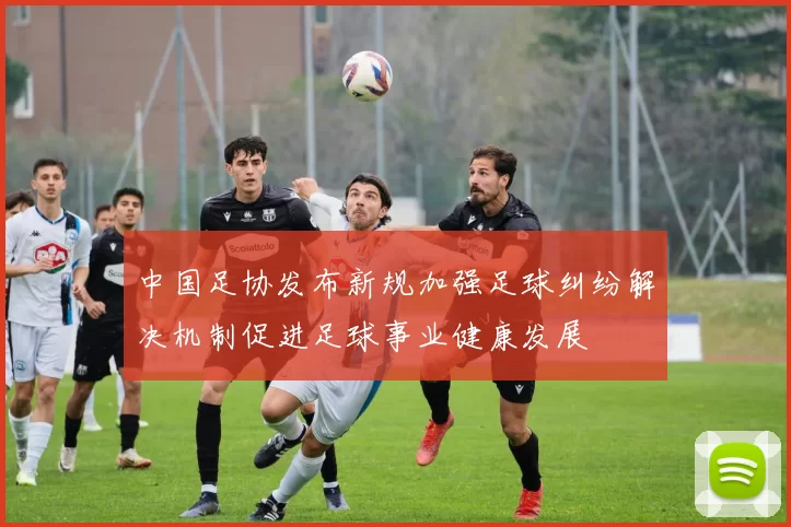 中国足协发布新规加强足球纠纷解决机制促进足球事业健康发展