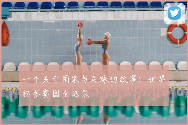 一个关于国家与足球的故事：世界杯参赛国全记录