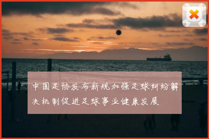 中国足协发布新规加强足球纠纷解决机制促进足球事业健康发展