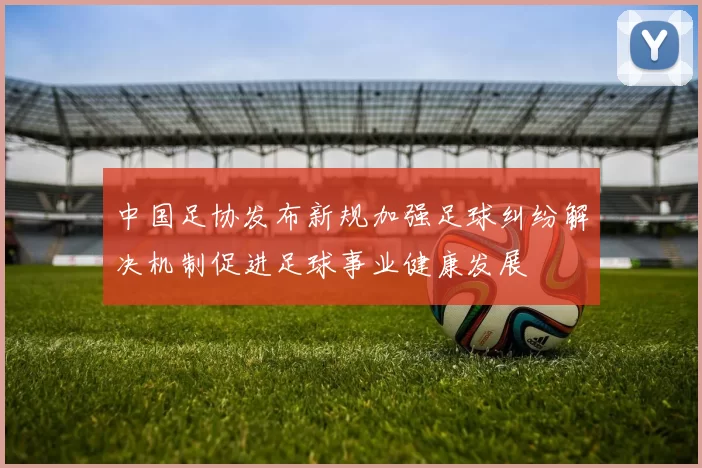 中国足协发布新规加强足球纠纷解决机制促进足球事业健康发展