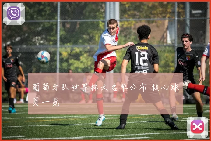 葡萄牙队世界杯大名单公布 核心球员一览