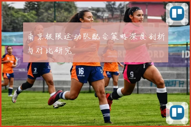 南京极限运动队配合策略深度剖析与对比研究
