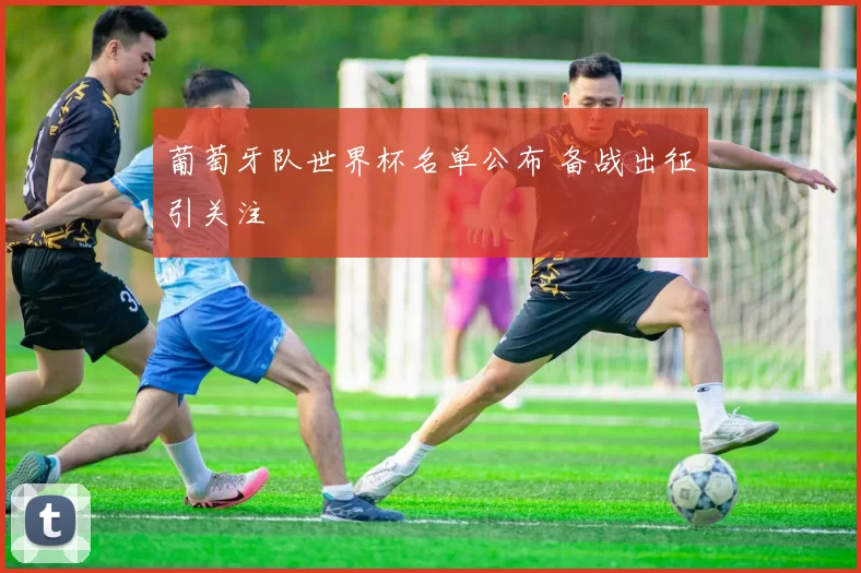 葡萄牙队世界杯名单公布 备战出征引关注