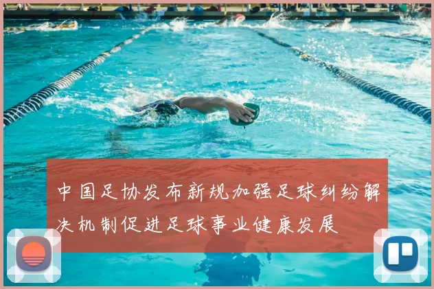 中国足协发布新规加强足球纠纷解决机制促进足球事业健康发展