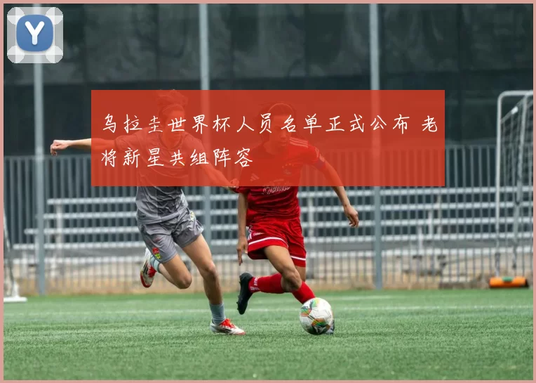 乌拉圭世界杯人员名单正式公布 老将新星共组阵容