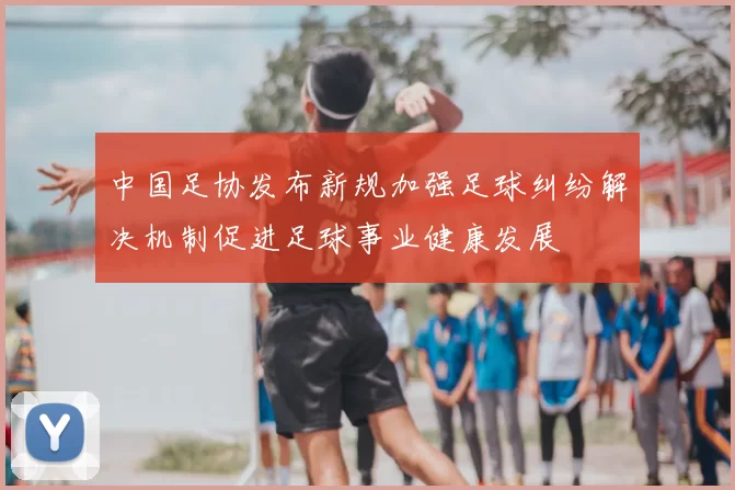 中国足协发布新规加强足球纠纷解决机制促进足球事业健康发展