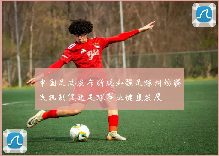 中国足协发布新规加强足球纠纷解决机制促进足球事业健康发展