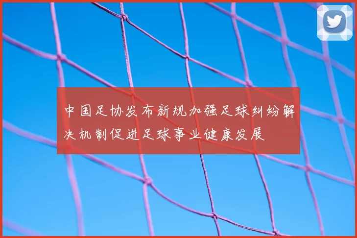 中国足协发布新规加强足球纠纷解决机制促进足球事业健康发展