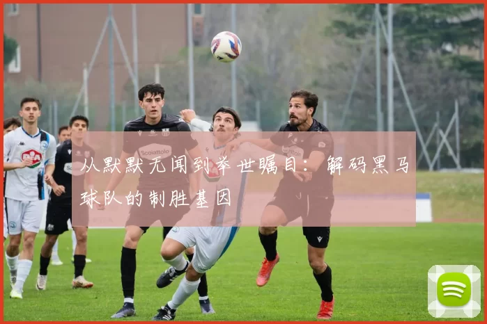 从默默无闻到举世瞩目：解码黑马球队的制胜基因