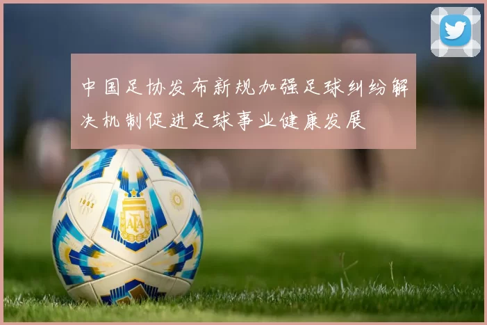 中国足协发布新规加强足球纠纷解决机制促进足球事业健康发展