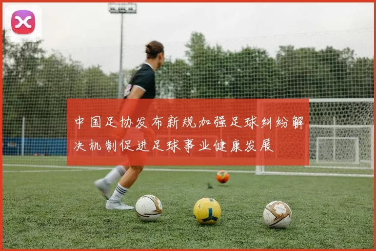 中国足协发布新规加强足球纠纷解决机制促进足球事业健康发展