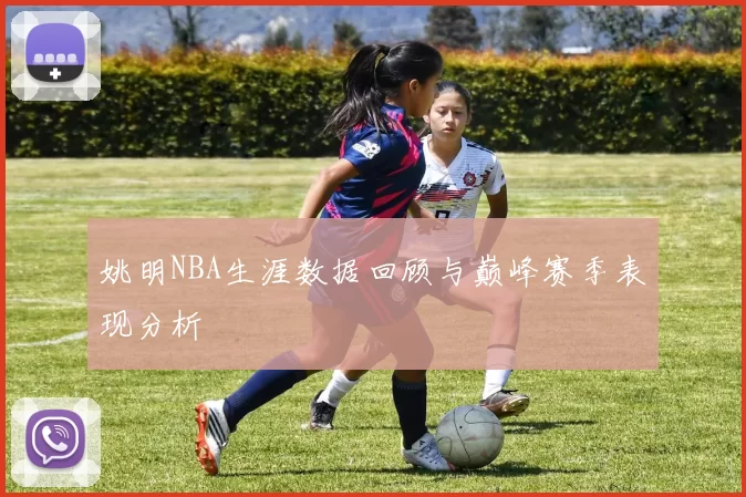 姚明NBA生涯数据回顾与巅峰赛季表现分析