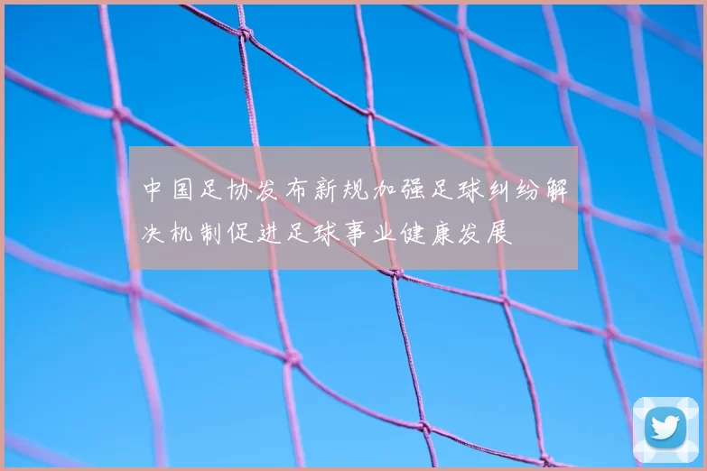 中国足协发布新规加强足球纠纷解决机制促进足球事业健康发展