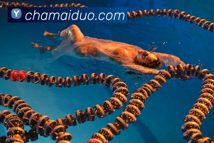 九游体育品牌故事