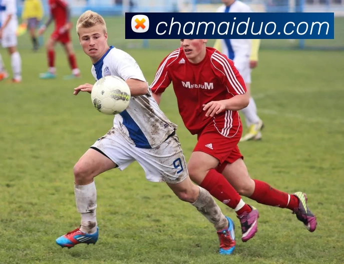 九游体育服务体系